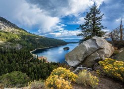 Stany Zjednoczone, Stan Kalifornia, Jezioro Tahoe, Góry Sierra Nevada, Lasy, Kamienie, Kwiaty