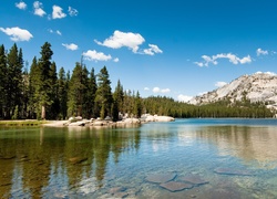 Stany Zjednoczone, Stan Kalifornia, Park Narodowy Yosemite, Jezioro Tenaya, Góry, Las