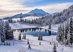 Stany Zjednoczone, Góry, Stratowulkan Mount Rainier, Park Narodowy Mount Rainier, Jezioro, Tipsoo Lake, Zima, Śnieg, Drzewa