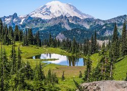 Stany Zjednoczone, Waszyngton, Park Narodowy Mount Rainier, Stratowulkan, Mount Rainier, Góry, Jezioro, Tipsoo Lake, Drzewa