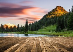 Park Narodowy Mount Rainier, Jezioro Tipsoo, Las, Drzewa, Góry, Stan Waszyngton, Stany Zjednoczone