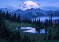 Park Narodowy Mount Rainier, Góry, Stratowulkan Mount Rainier, Drzewa, Jezioro Tipsoo, Mgła, Stan Waszyngton, Stany Zjednoczone