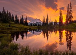 Jezioro Tipsoo w amerykańskim Parku Narodowym Mount Rainier