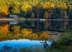 Stany Zjednoczone, Stan Georgia, Vogel State Park, Jezioro Trahlyta, Jesień