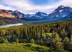 Stany Zjednoczone, Stan Montana, Park Narodowy Glacier, Góry, Jezioro Two Medicine Lake, Drzewa