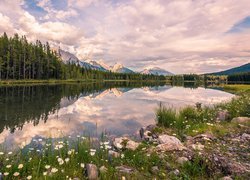 Kanada, Prowincja Alberta, Kananaskis Country, Drzewa, Las, Góry Canadian Rockies, Jezioro Upper Kananaskis Lake, Kamienie, Roślinność, Chmury