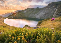 Góry Riła, Jezioro Urdini Ezera, Roślinność, Kwiaty, Promienie słońca, Chmury, Bułgaria