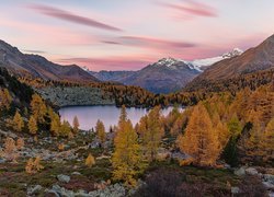 Góry, Jezioro Lagh da Val Viola, Las, Drzewa, Jesień, Dolina Val Poschiavo, Kanton Gryzonia, Szwajcaria