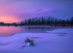 Zima, Jezioro, Vermilion Lake, Szczyt, Góry, Canadian Rockies, Park Narodowy Banff, Drzewa, Mgła, Alberta, Kanada