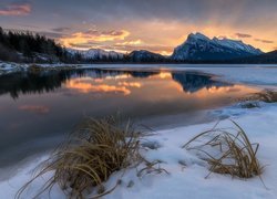 Jezioro Vermilion Lakes, Góra Mount Rundle, Park Narodowy Banff, Prowincja Alberta, Kanada, Zima, Wschód słońca, Góry, Kępy, Trawa