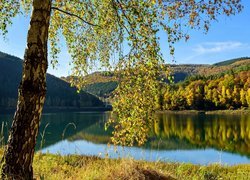 Belgia, Prowincja Liège, Gmina Stavelot, Wieś Coo, Jezioro, Wzgórza,  Lasy, Drzewo