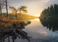 Jezioro, Lasy, Drzewa, Wschód słońca