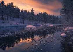 Norwegia, Ringerike, Drzewa, Zima, Jezioro