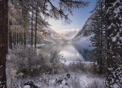 Rosja, Republika Ałtaju, Zima, Góry Ałtaj, Jezioro Szawlińskie, Drzewa, Śnieg