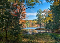Jezioro w jesiennym lesie