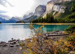 Kanada, Jezioro, Góry, Roślinność