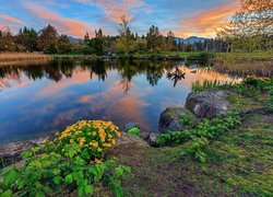 Park miejski, Stanley Park, Jezioro, Drzewa, Kwiaty, Chmury, Vancouver, Kanada