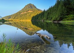 Jezioro w kanadyjskim parku prowincjonalnym Silver Lake