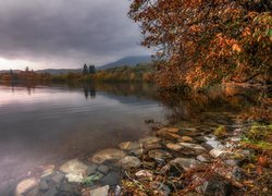 Wielka Brytania, Anglia, Kumbria, Kraina Lake District, Jesień, Kamienie, Drzewa, Jezioro Coniston Water