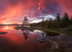 Zachód słońca, Norwegia, Gmina Ringerike, Jezioro, Drzewa