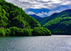 Jezioro w otoczeniu zalesionych gór