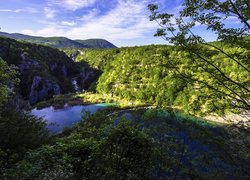 Chorwacja, Jeziora, Drzewa, Roślinność, Park Narodowy Jezior Plitwickich