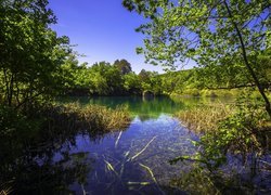 Chorwacja, Park Narodowy Jezior Plitwickich, Jezioro, Zieleń,  Trawa, Drzewa, Krzewy, Niebo
