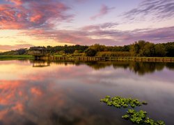 Portugalia, Park, Pateira de Espinhel, Jezioro Fermentelos, Altana, Las, Drzewa, Zachód słońca, Chmury, Odbicie