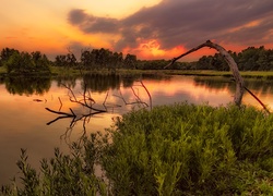 Jezioro w rezerwacie przyrody James A. Reed Memorial Wildlife Area