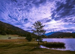 Jezioro Geroldsee, Wagenbruchsee, Góry Alpy, Wzgórze, Drewniane, Domki, Drzewo, Chmury, Niebo, Bawaria, Niemcy