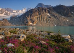 Góry, Jezioro Wedgemount, Kwiaty, Kamienie, Śnieg, Park prowincjonalny Garibaldi, Kolumbia Brytyjska, Kanada