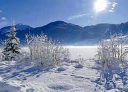 Austria, Karyntia, Alpy Gailtalskie, Jezioro Weißensee, Zima, Krajobraz, Góry, Promienie słońca, Drzewo, Krzewy