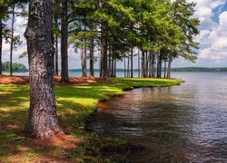 Drzewa, Jezioro, West Point Lake, A.L. Anderson Park, Floryda, Stany Zjednoczone