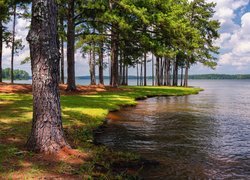 Drzewa, Jezioro, West Point Lake, A.L. Anderson Park, Floryda, Stany Zjednoczone