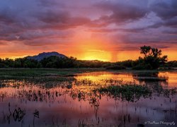 Zachód słońca, Jezioro, Willow Lake, Prescott, Szuwary, Drzewa, Góry, Stany Zjednoczone, Arizona, Hrabstwo Yavapai