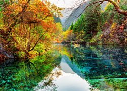 Jezioro Wu Hua Hai w Parku Narodowym Jiuzhaigou