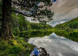 Jezioro Yew Tree Tarn w Angliii