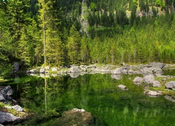 Jezioro z kamienistym brzegiem otoczone drzewami