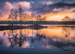 Jezioro, Wysepki, Drzewa, Zachód słońca, Ringerike, Norwegia