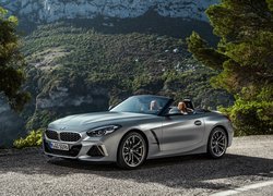 Kabriolet, BMW Z4 M40i