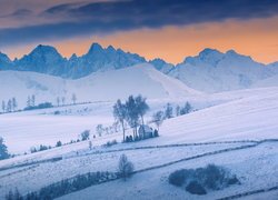 Polska, Gmina Łapsze Niżne, Kacwin, Ośnieżone, Góry, Tatry, Pola, Drzewa, Kaplica Matki Bożej Śnieżnej, Zima