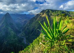 Góry, Wąwóz, Kaldera, Mafate, Rzeka, Riviere des Galets, Roślina, Droga, Szlak, Wyspa Reunion, Francja