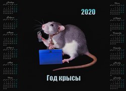 Kalendarz na 2020 rok ze szczurem