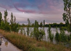 Kałuże po deszczu nad jeziorem