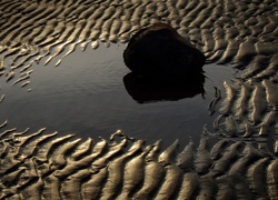 Kamień na morskiej plaży