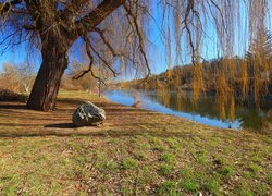 Kamień pod wierzbą nad rzeką