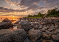 Kamienie i drzewa na brzegu morza