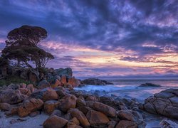 Wybrzeże, Shelley Cove, Skały, Kamienie, Morze, Drzewa, Niebo, Chmury, Australia
