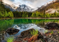 Góry, Jezioro Odseen, Drzewa, Austria