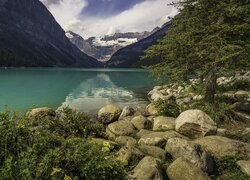 Kamienie i kwiaty nad jeziorem w Parku Narodowym Banff